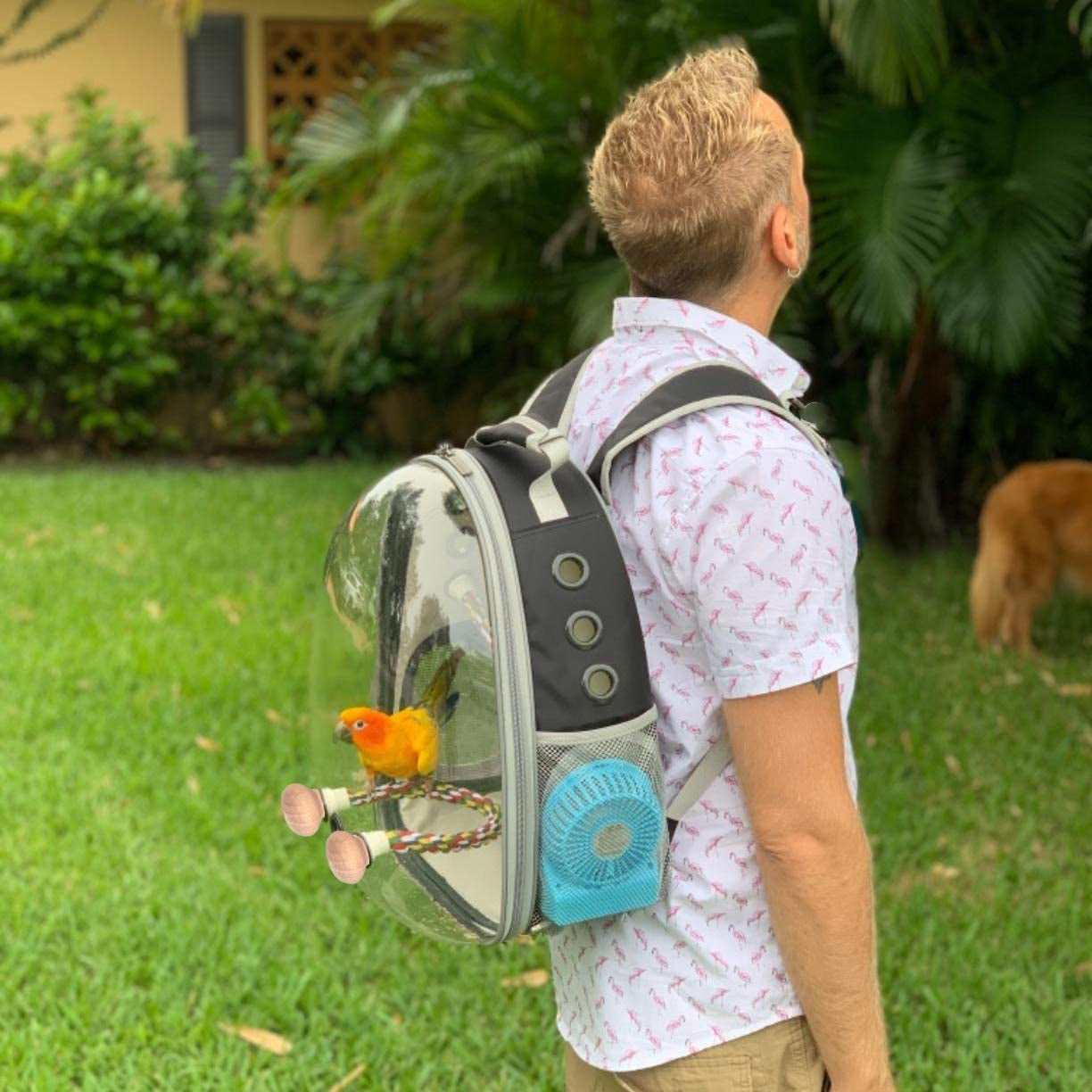 bird traval carrier cage, clear space capsule astronaut backpack to carry parakeet cockatiel parrot with metal tray bird feeder wood perch, vet transport bag