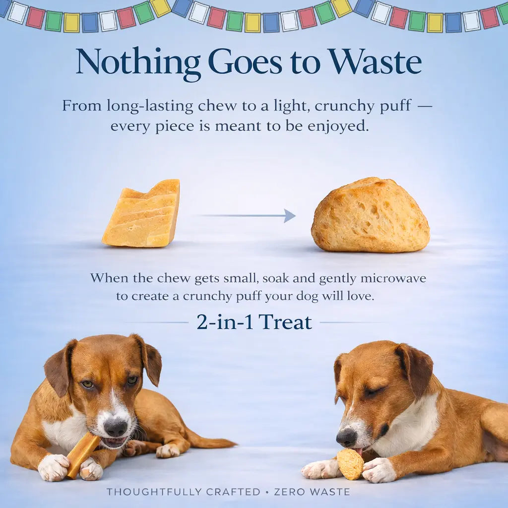 potala dog chew medium