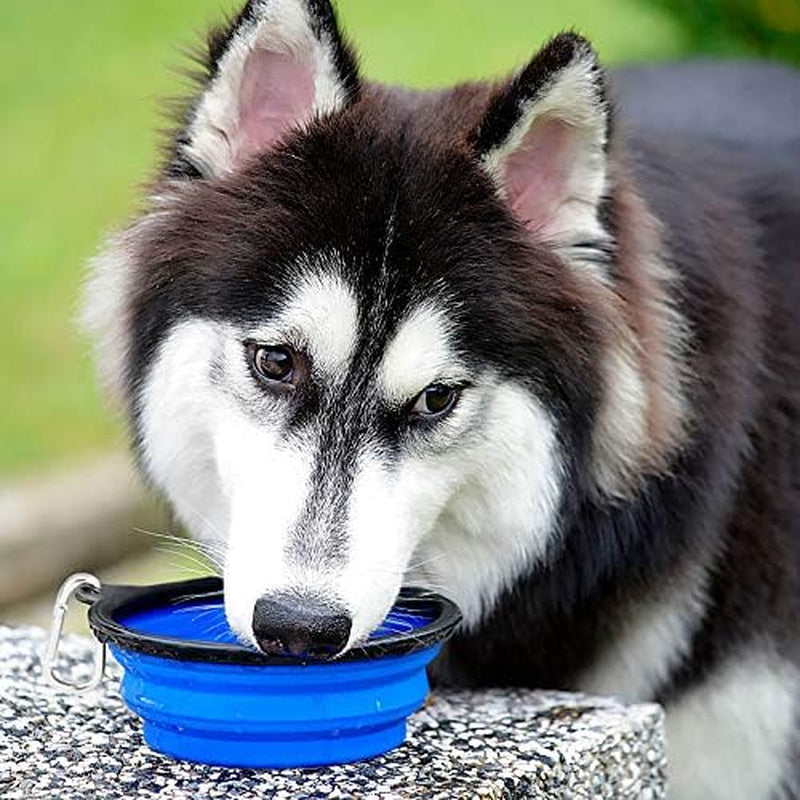 large collapsible dog bowls 2 pack, 34oz foldable dog travel bowl, portable pet water food bowl with clasp, pet cat feeding cup dish for traveling, walking, hiking (blue+green)