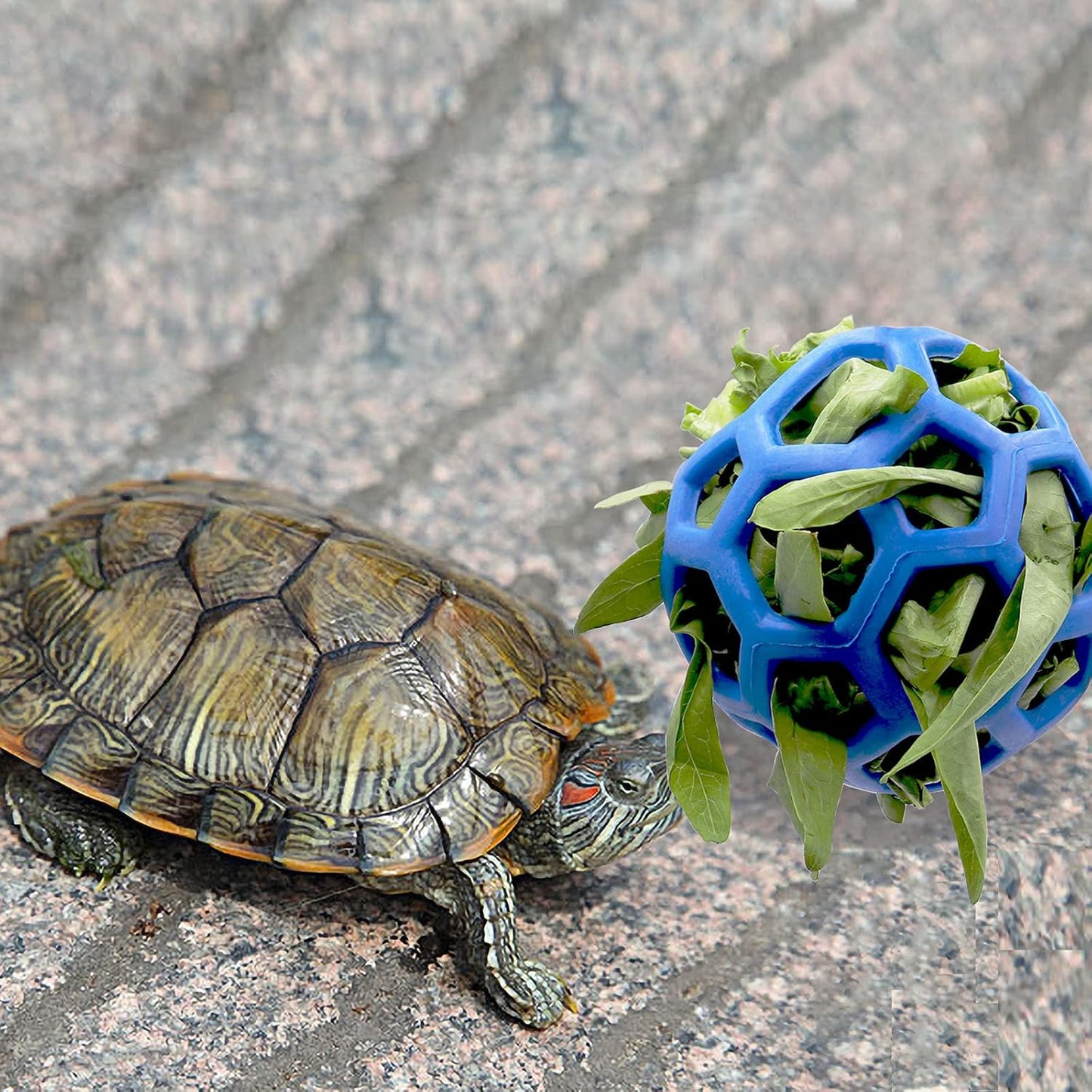 tortoise feeder ball, 5.5 inch, encourages foraging behaviors, keeps pets entertained