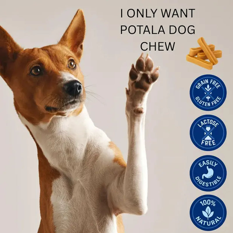 potala dog chew medium