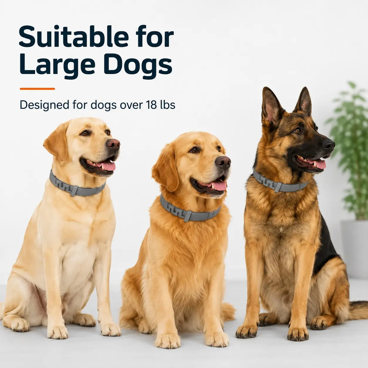 dog collar for large dogs over 18 lbs, adjustable fresh scent lightweight pet collar for everyday wear, walks & outdoor use