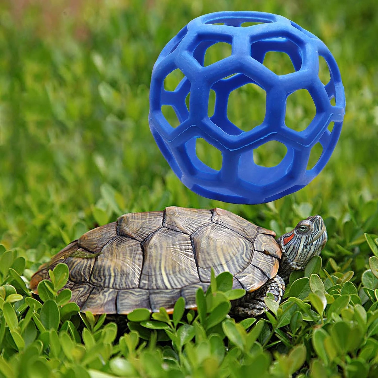 tortoise feeder ball, 5.5 inch, encourages foraging behaviors, keeps pets entertained