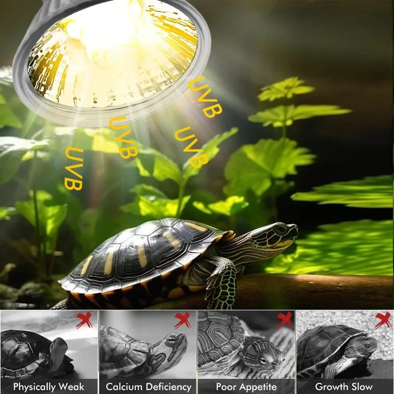 25/50/75W UVA UVB Reptile Lamp Bulb Turtle Basking UV Light Bulbs Heating Light Pet Heat Lamp Amphibians Full Sunlamp