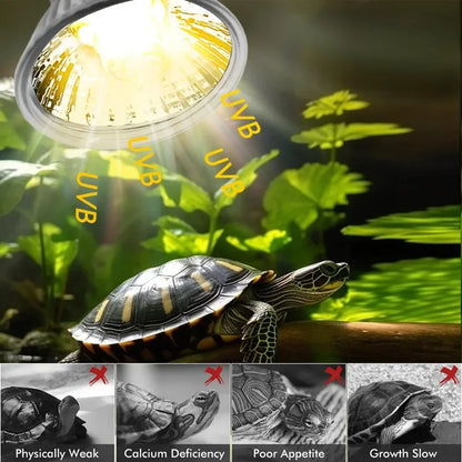 25/50/75W UVA UVB Reptile Lamp Bulb Turtle Basking UV Light Bulbs Heating Light Pet Heat Lamp Amphibians Full Sunlamp
