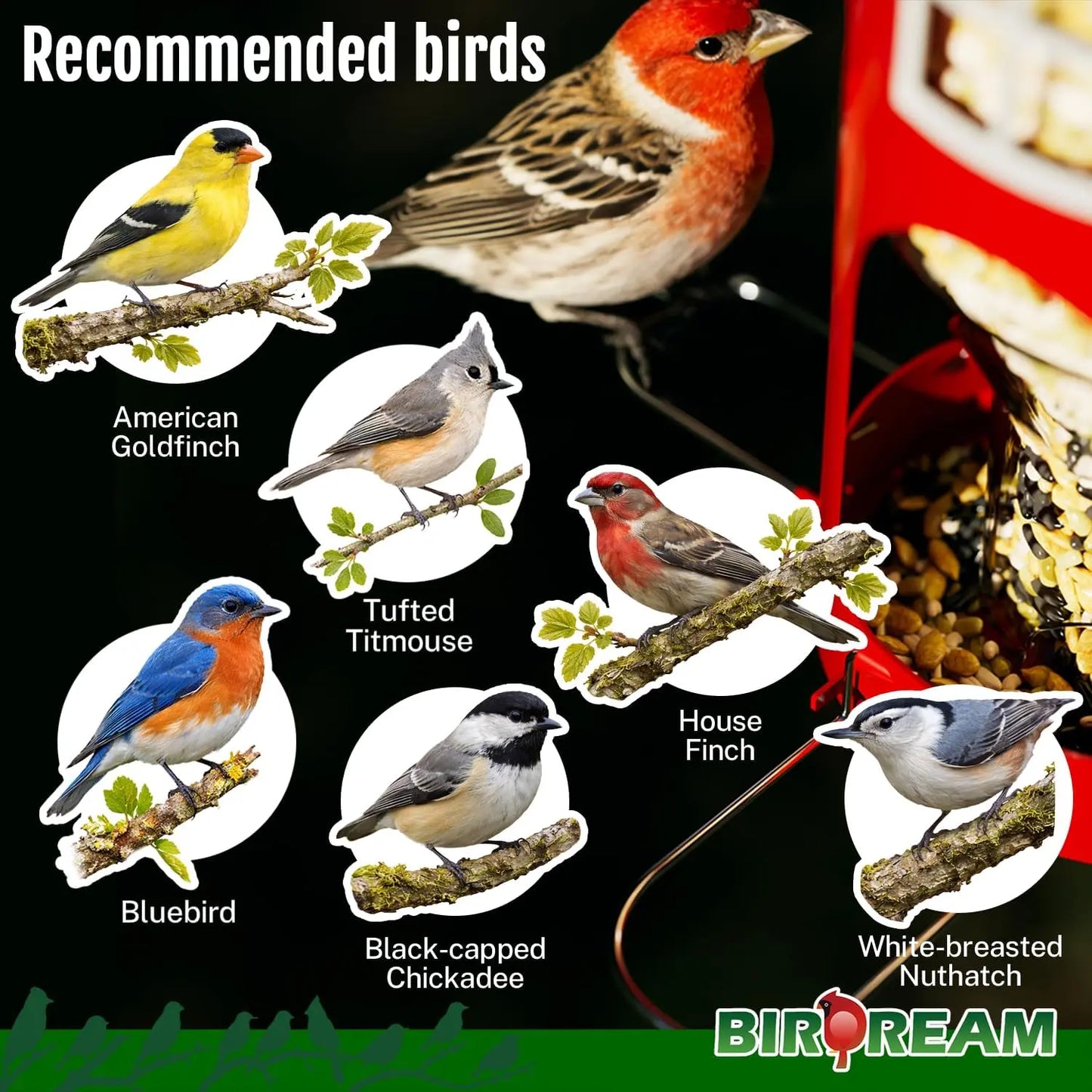birdream metal bird feeder for outdoors hanging, small lighthouse bird feeder with clear seed tube, folding stainless steel perches, for small wild birds finches chickadees, red