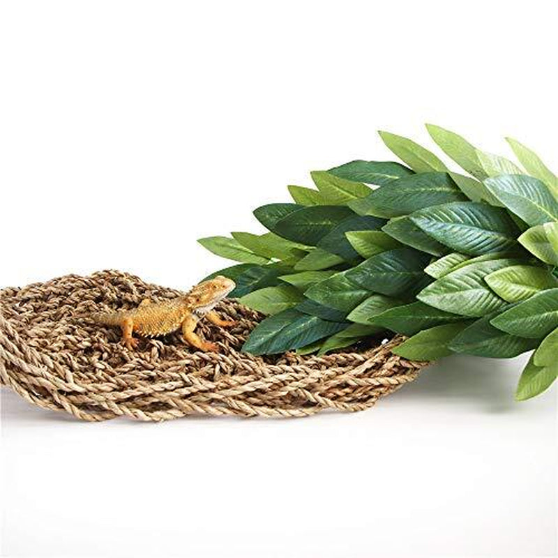 reptile plants hanging silk terrarium plants with suction cup, 12 inches