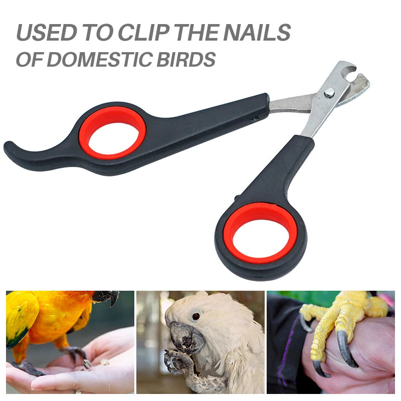 pet bird parrot small animals accessory grooming tool nail scissors clipper black and red