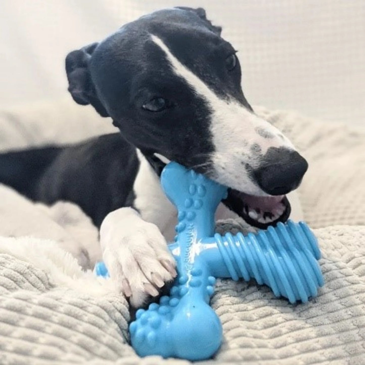 power chew comfort hold x bone dog toy, dog chew toy, beef flavor, large, 1 count