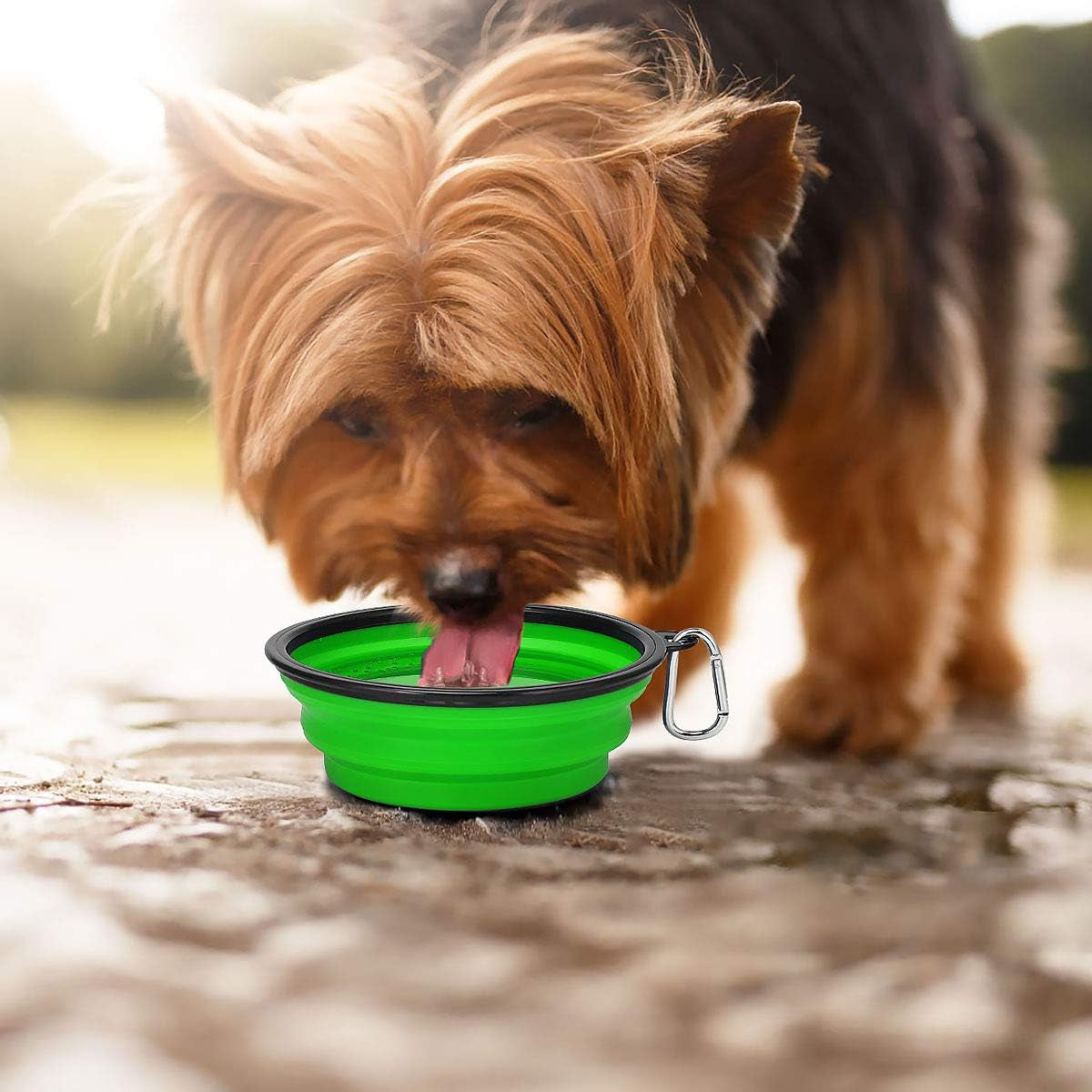 large collapsible dog bowls 2 pack, 34oz foldable dog travel bowl, portable pet water food bowl with clasp, pet cat feeding cup dish for traveling, walking, hiking (blue+green)