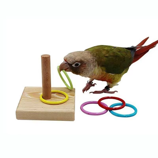 Bird Training Ring Toy for Parrots