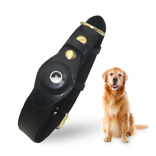 Leather Dog Collar with AirTag Holder