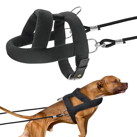 Dog Weight Pulling Harness and Leash
