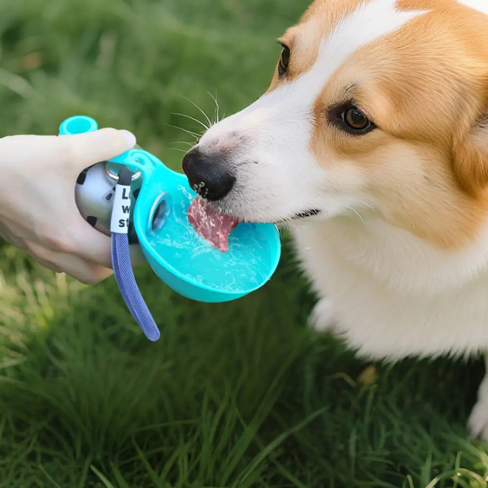 Portable Water Bottle