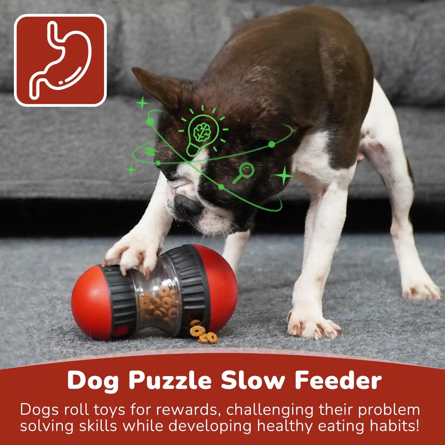 Dog Rolling Puzzle Intelligence Toy