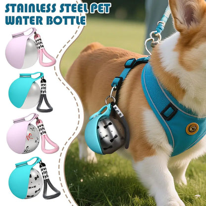 Portable Water Bottle