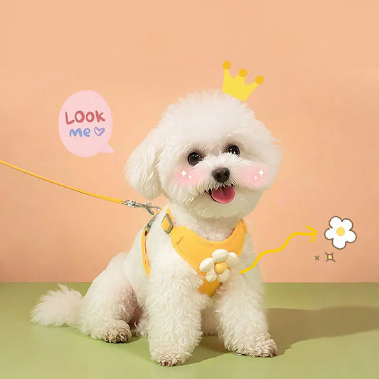 Dog Pet Harness With Leash Dog