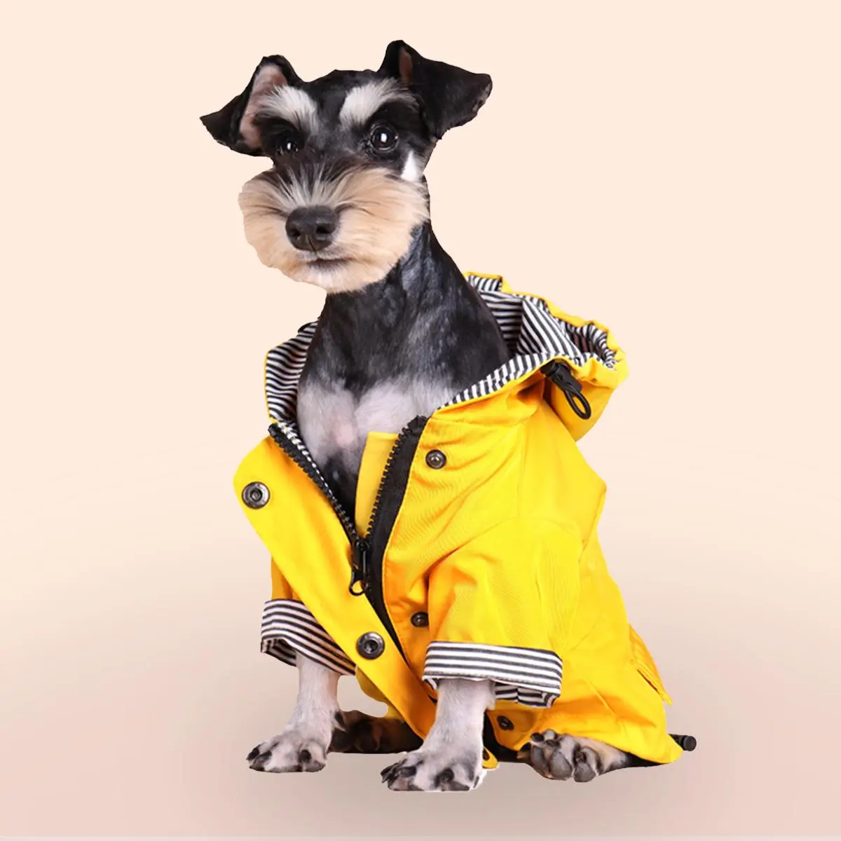 striped waterproof dog raincoat