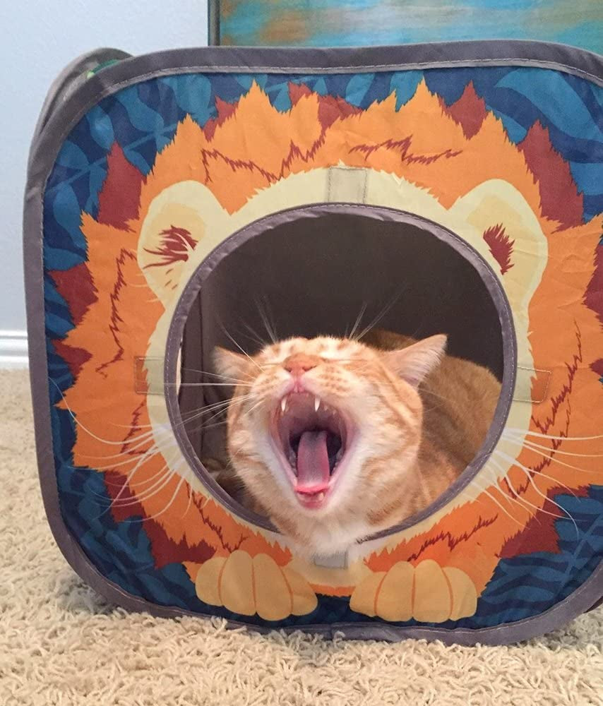 safari jungle cat play set, collapsible pop-up cat toys combo with cube, tunnel & hideout, interactive indoor kitty playhouse for exercise, hiding & lounging
