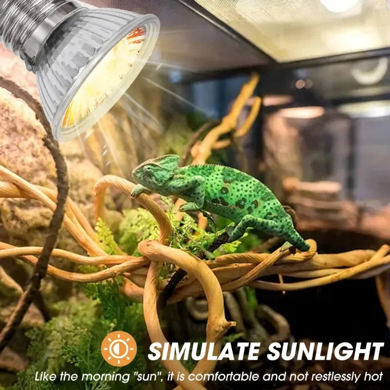 25/50/75W UVA UVB Reptile Lamp Bulb Turtle Basking UV Light Bulbs Heating Light Pet Heat Lamp Amphibians Full Sunlamp