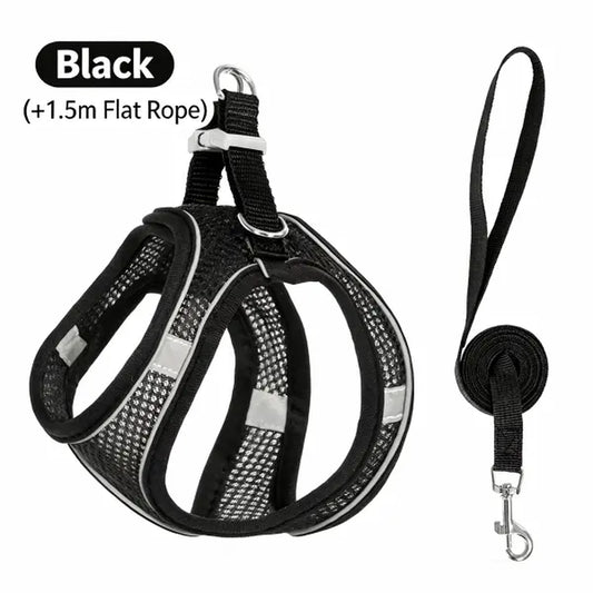Spoiled Paws Adjustable Pet Safety Belt & Strap Set - Solid Lightweight Harness, Non-Customized Stainless Steel Martingale Collar, Breathable Mesh Leads for Travel, Training, Universal Hiking Use (1 Size, Machine Washable)