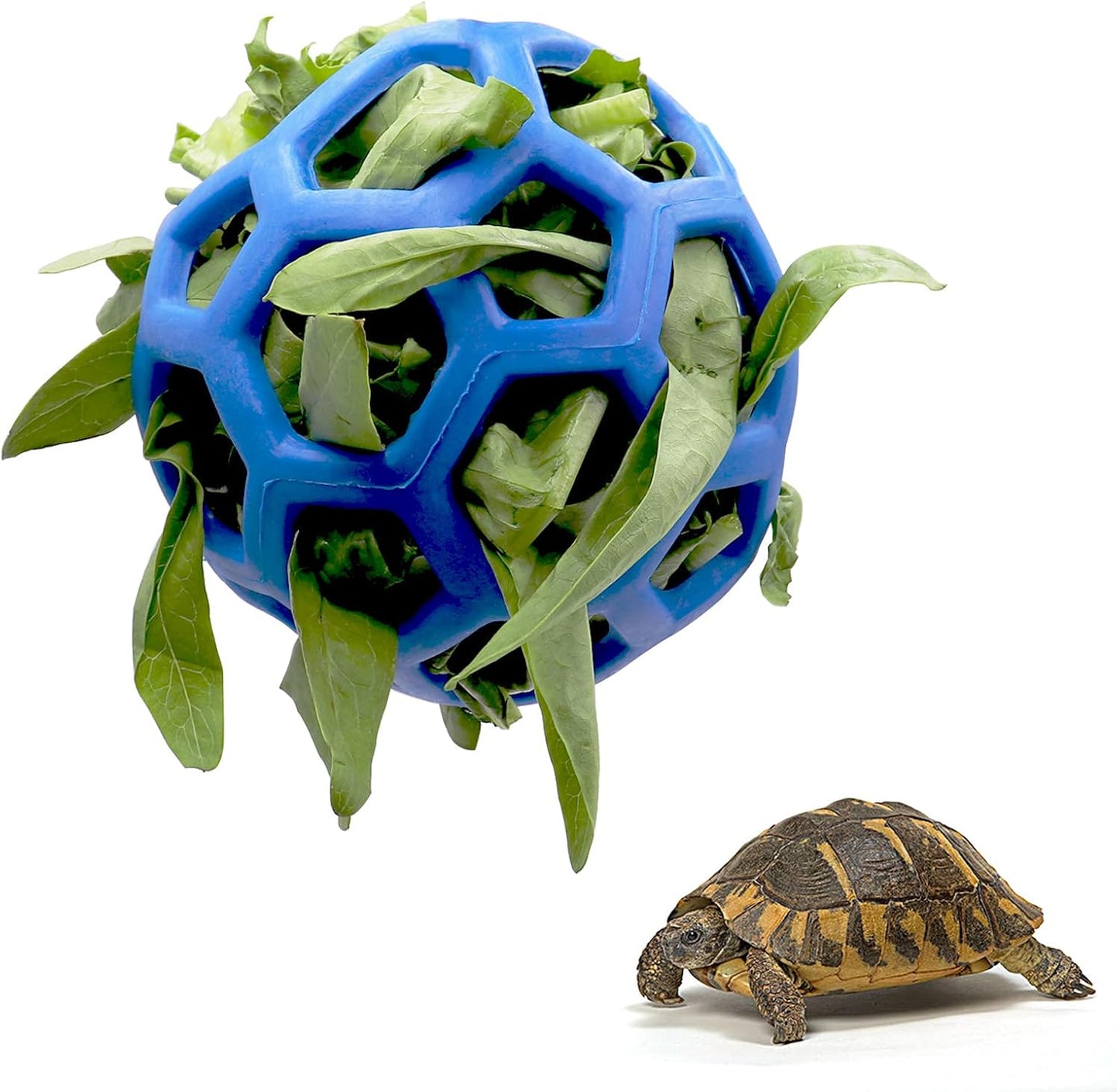 tortoise feeder ball, 5.5 inch, encourages foraging behaviors, keeps pets entertained