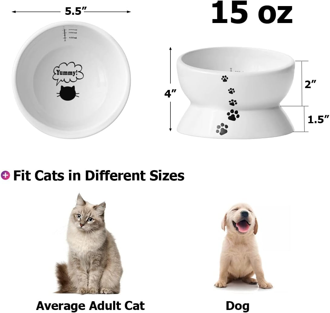 elevated cat food bowl, raised food and water bowl for cat and small dog, tilted ceramic water bowls no spill,15oz, dishwasher safe