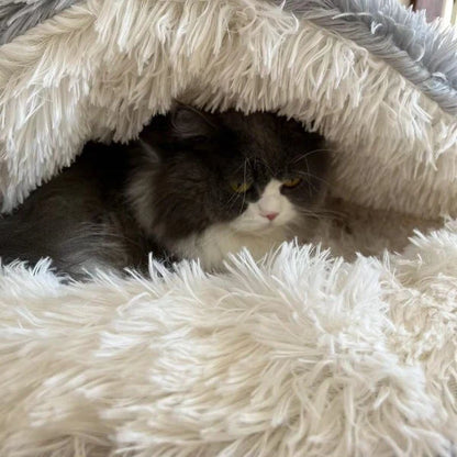 Pawfect Nest Bed