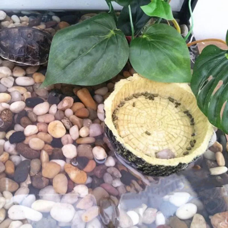 pet reptile feeder bowl resin aquarium basin food water pot reptile turtle tortoise scorpion lizard crabs supplies dropshipping