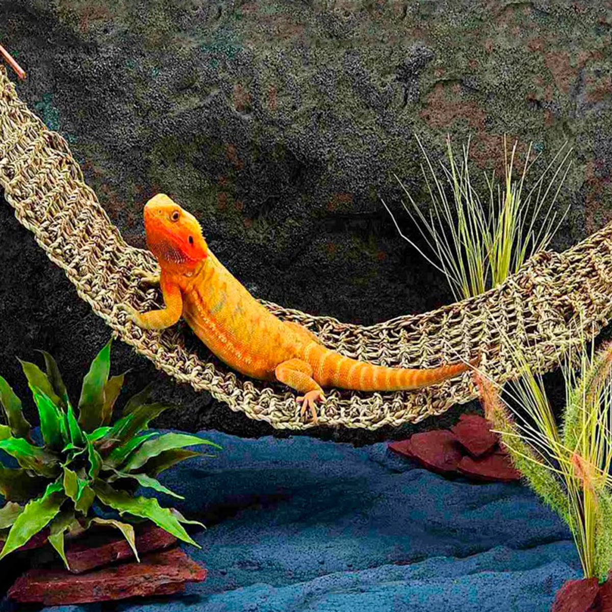 reptile hammock terrarium decoration for lizard lounger small hermit crabs geckos bed birds reptile mats pets supplies