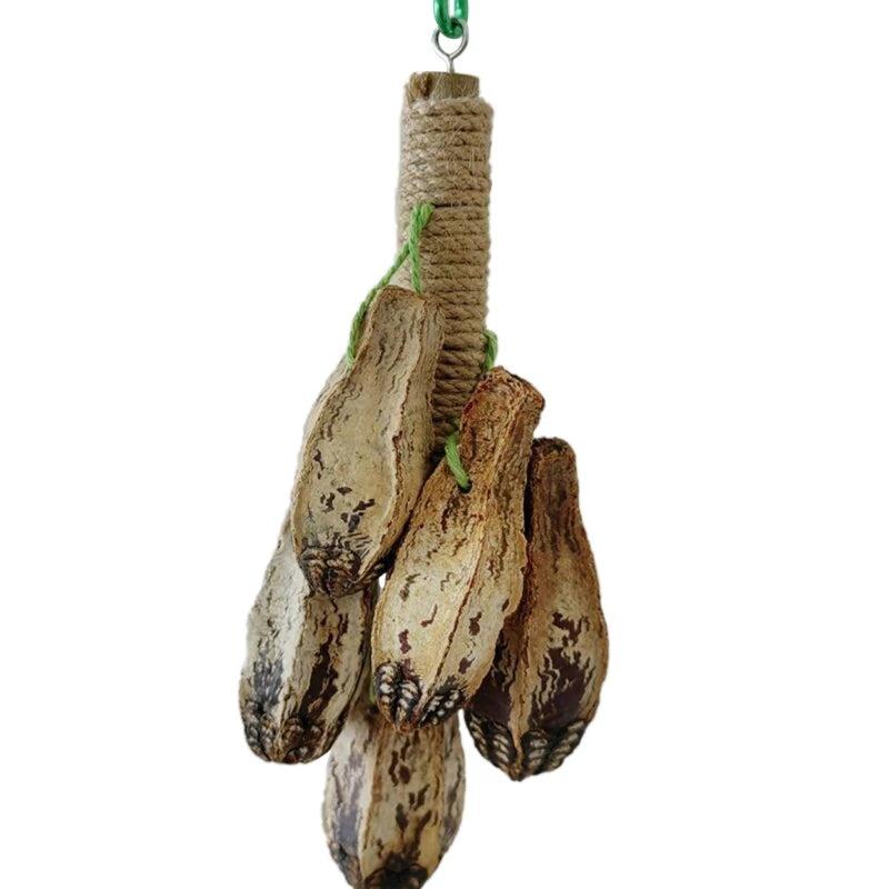 colorful hanging parrot bird molar toy articles parrot bite pet bird toy for parrot training bird swing biting toy
